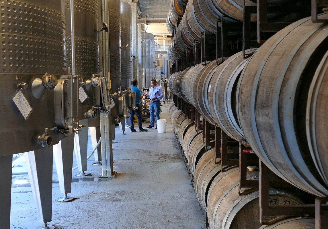 wine barrel room